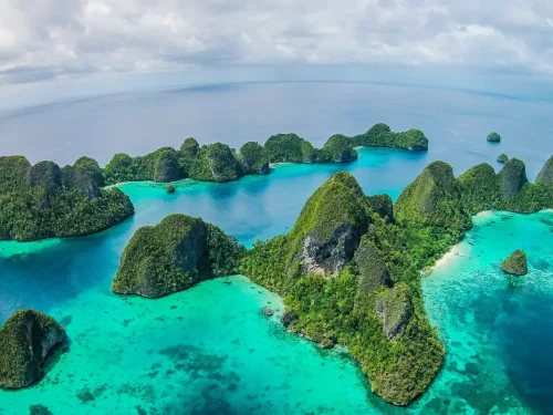 Raja Ampat Special Trips